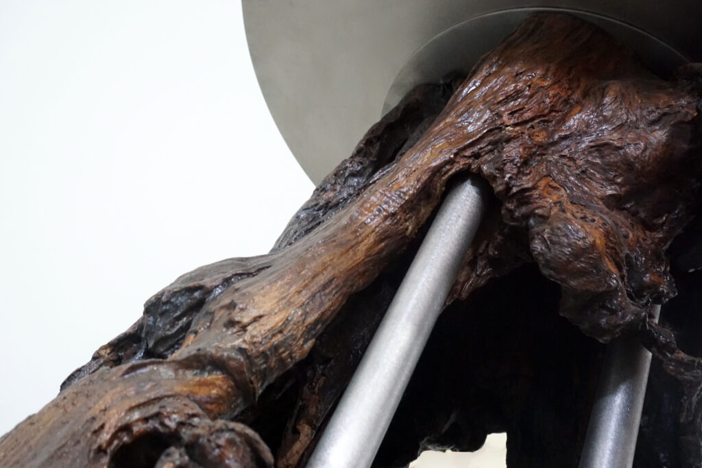 インテリアアクセントとして使われてきた流木をステンレス天板を交えてサイドテーブルへカスタム。流木の流動的で自然な風合いと、ステンレスのインダストリアルモダン感のコントラストが際立つものに仕上がりました。天板はステンレス板をランダムに荒らしたサンディング仕上げ。メイン足根本見上げ